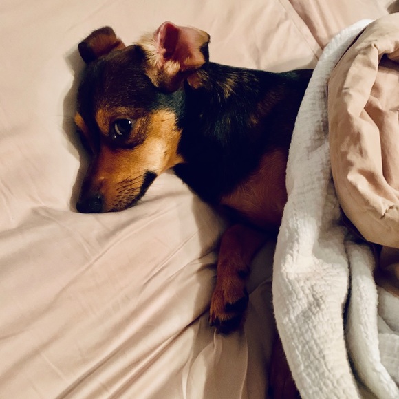 💕💚 Hi! I'm your Posher, Jess! 💚💕 - Picture 10 of 11